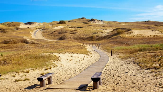 Geräucherter Fisch in der Kurischen Nehrung