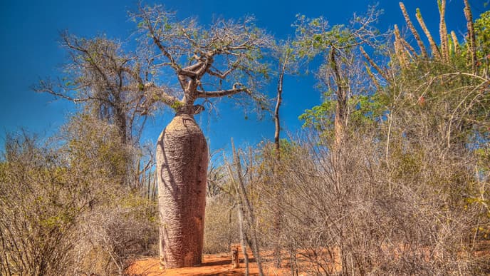 Abschied von Madagaskar