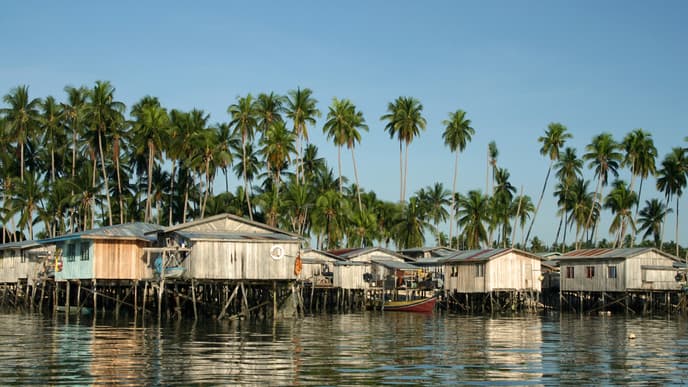 Canoe Ride and Fort Appolonia