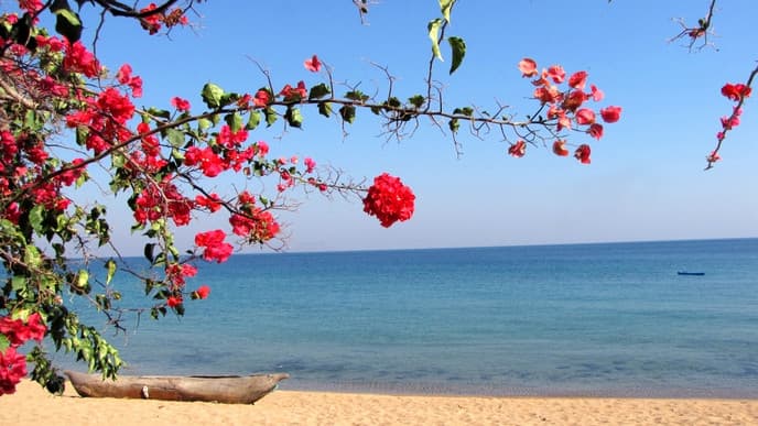 Whole day at Mango Drift on Likoma Island