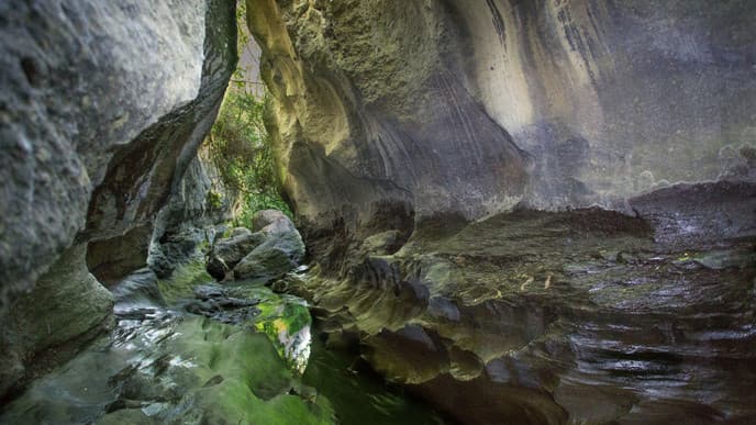 Spaß beim Canyoning und im Monkey Forest