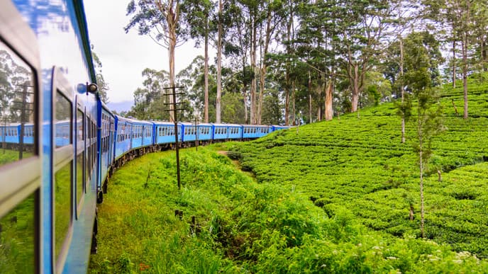 Old World Beauty in Nuwara Eliya