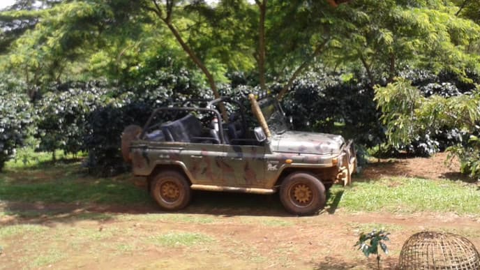 Jungle Jeep Tour to Coffee Plantation