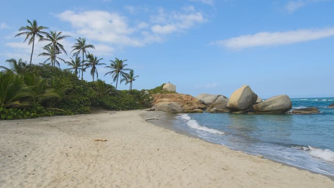 Explore the surroundings of Tayrona