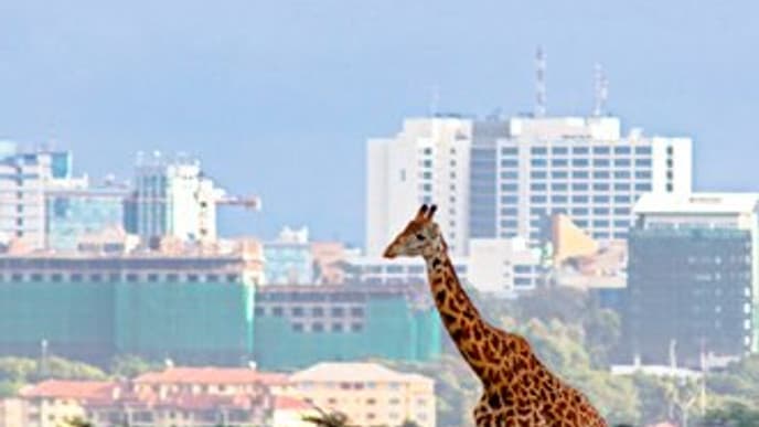 Goodbye, Gorgeous Kenya!