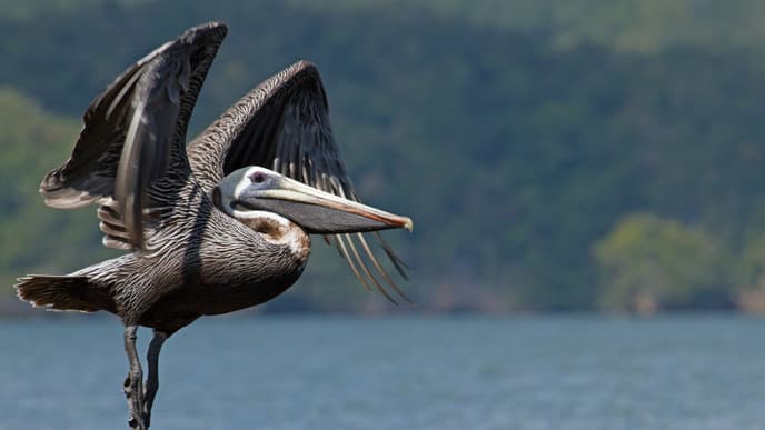 Day 8: Stunning hike through Haitises National Park
