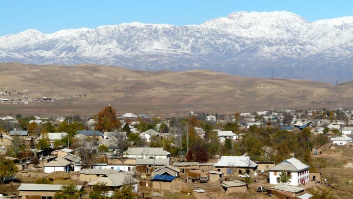 Discover Culture & History