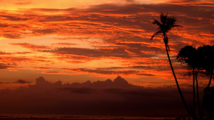 Travel to Beautiful Santa Teresa