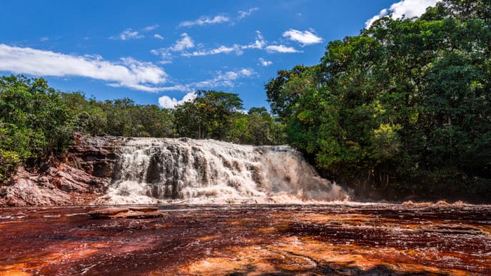 Forest trails & waterfalls in Presidente Figueiredo
