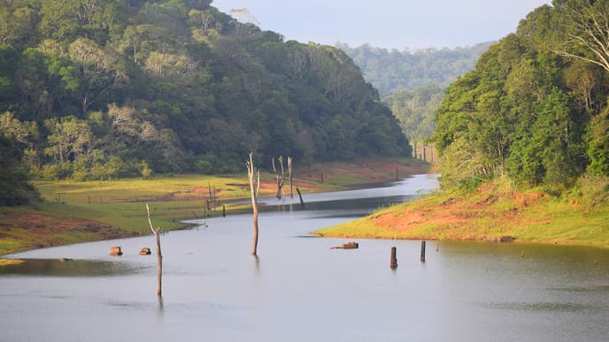 Periyar Nationalpark