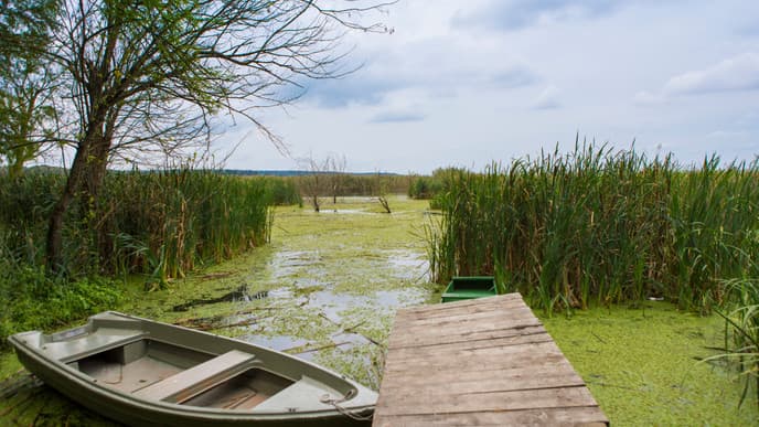 Enjoy a green paradise at the Neajlov Delta