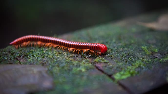 Morning Nature Walk and Afternoon in Kuala Lumpur