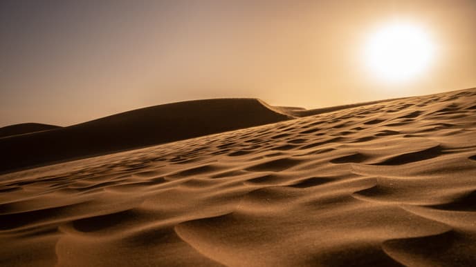 Journey to the Sahara