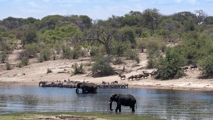 Arrival at Leroo La Tau