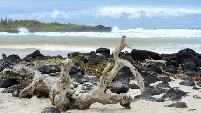 One of the Best Beaches in the World