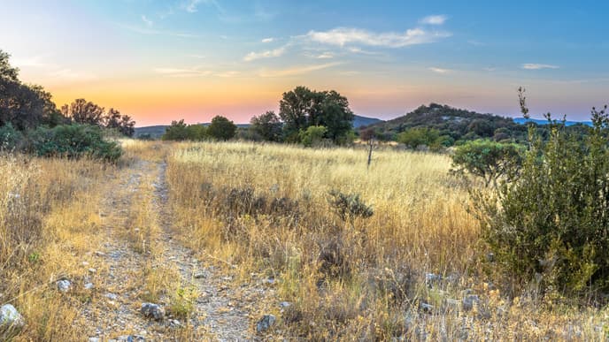 Return journey & relaxation