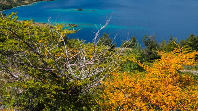 Embark on a Fishing Adventure in Carretera Austral