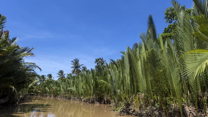 Explore the Vietnamese Countryside