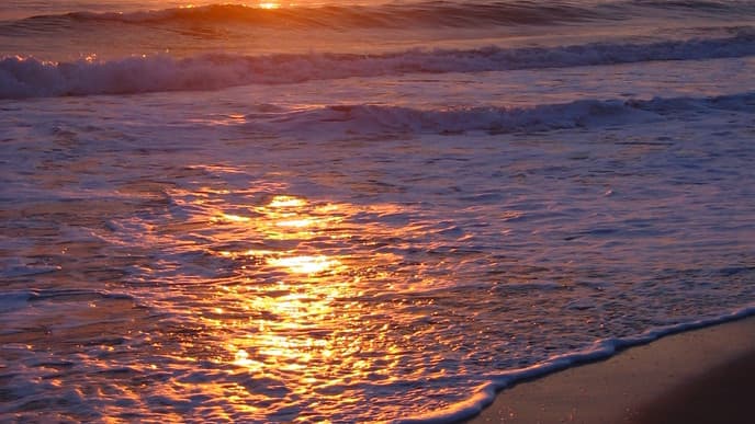 A day at Sjøsanden beach
