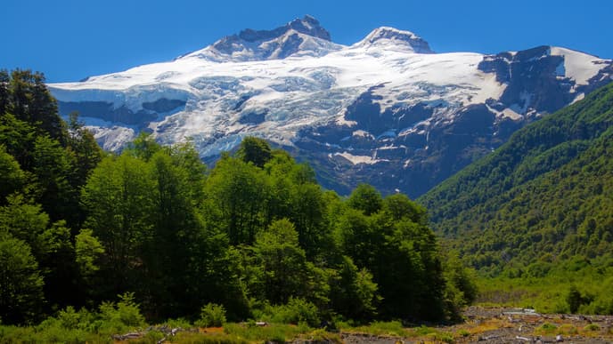 Die Hielos Milenarios von Patagonien
