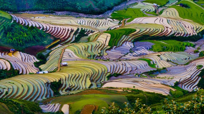 Explore the villages of Nam Cang & Red Dao