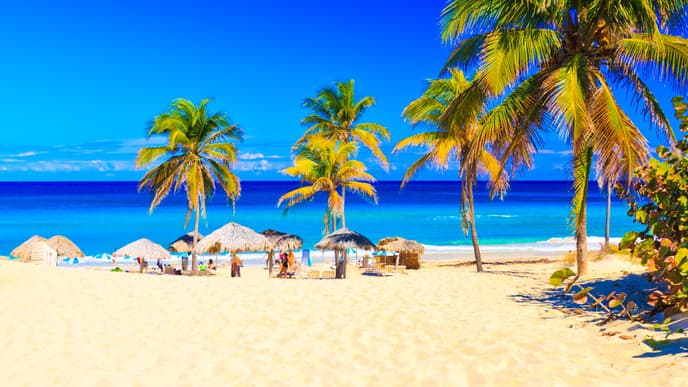 Mit Delphinen schwimmen