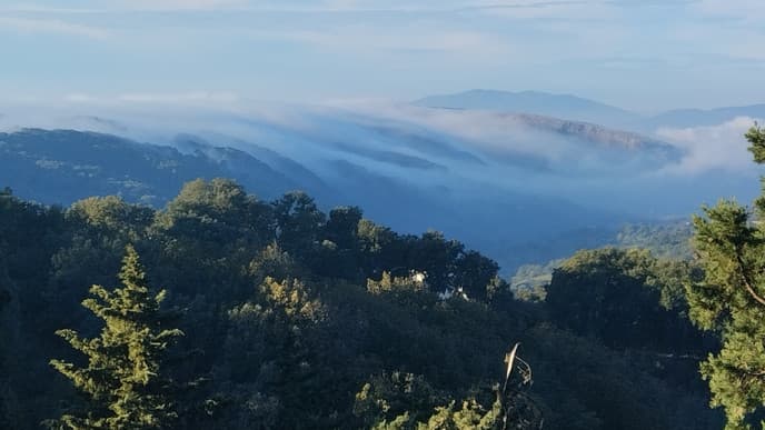 A day hiking through the forest