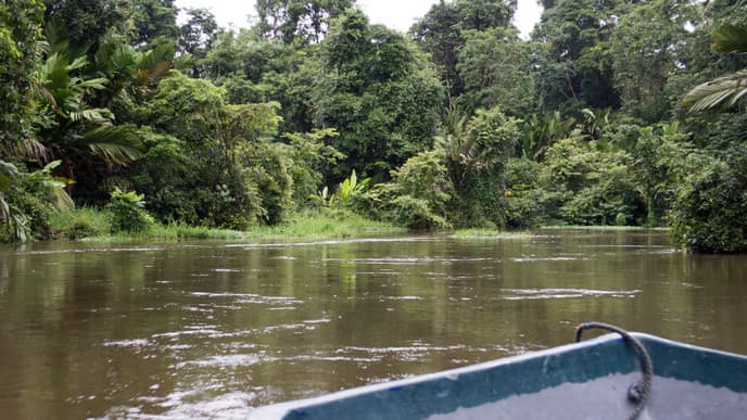 Discover the Amazonas of Costa Rica