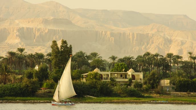 Back to Cairo