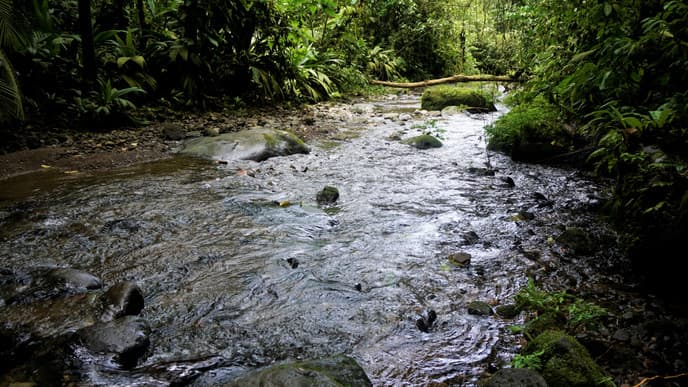 Volcanoes & rainforests