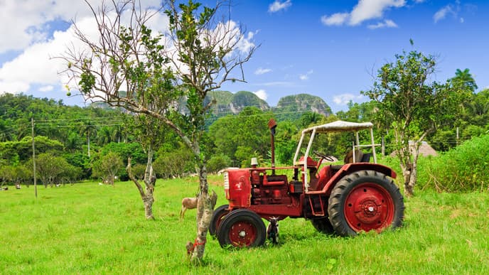 Viñales Tal und unterirdischen Fluss entdecken