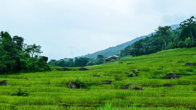 Explore Pu Luong & Chieng Lau's water wheels