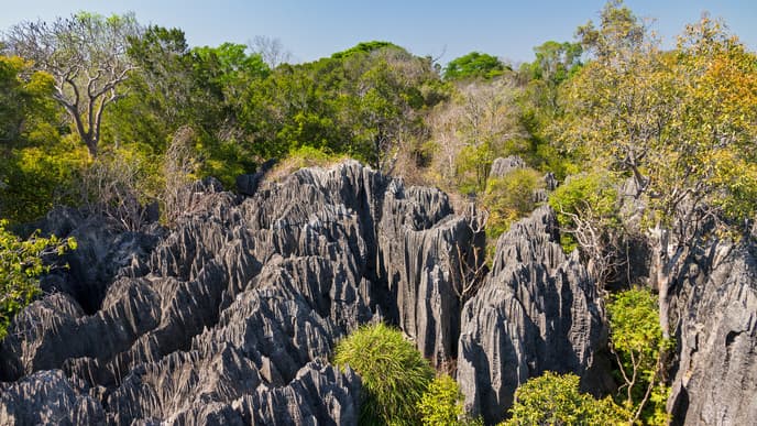Die kleinen Tsingy von Bemaraha