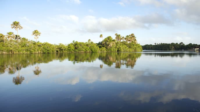 Visit The Scenic Cabure Beach