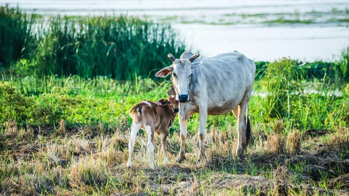 Pottery making & exploring