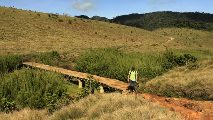 Horton Plains wildlife hike