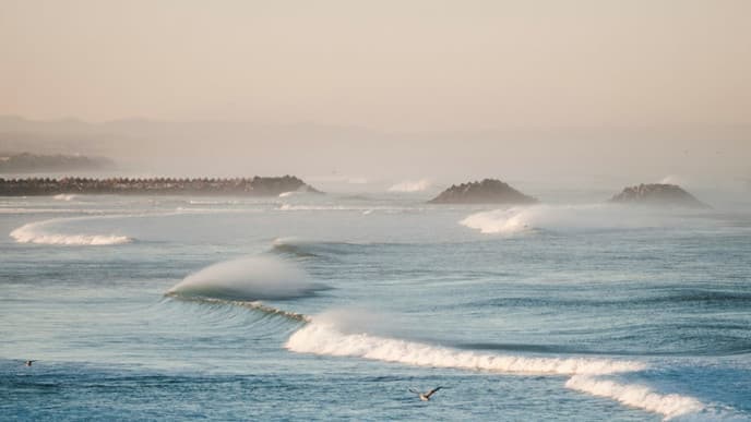Catch the perfect wave