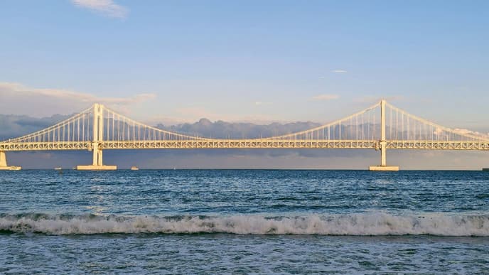 Busan's temples, blooms & bright streets