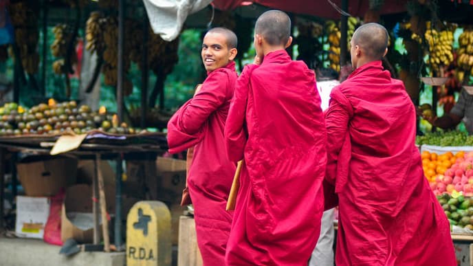 Menschen, Märkte und Orchideen