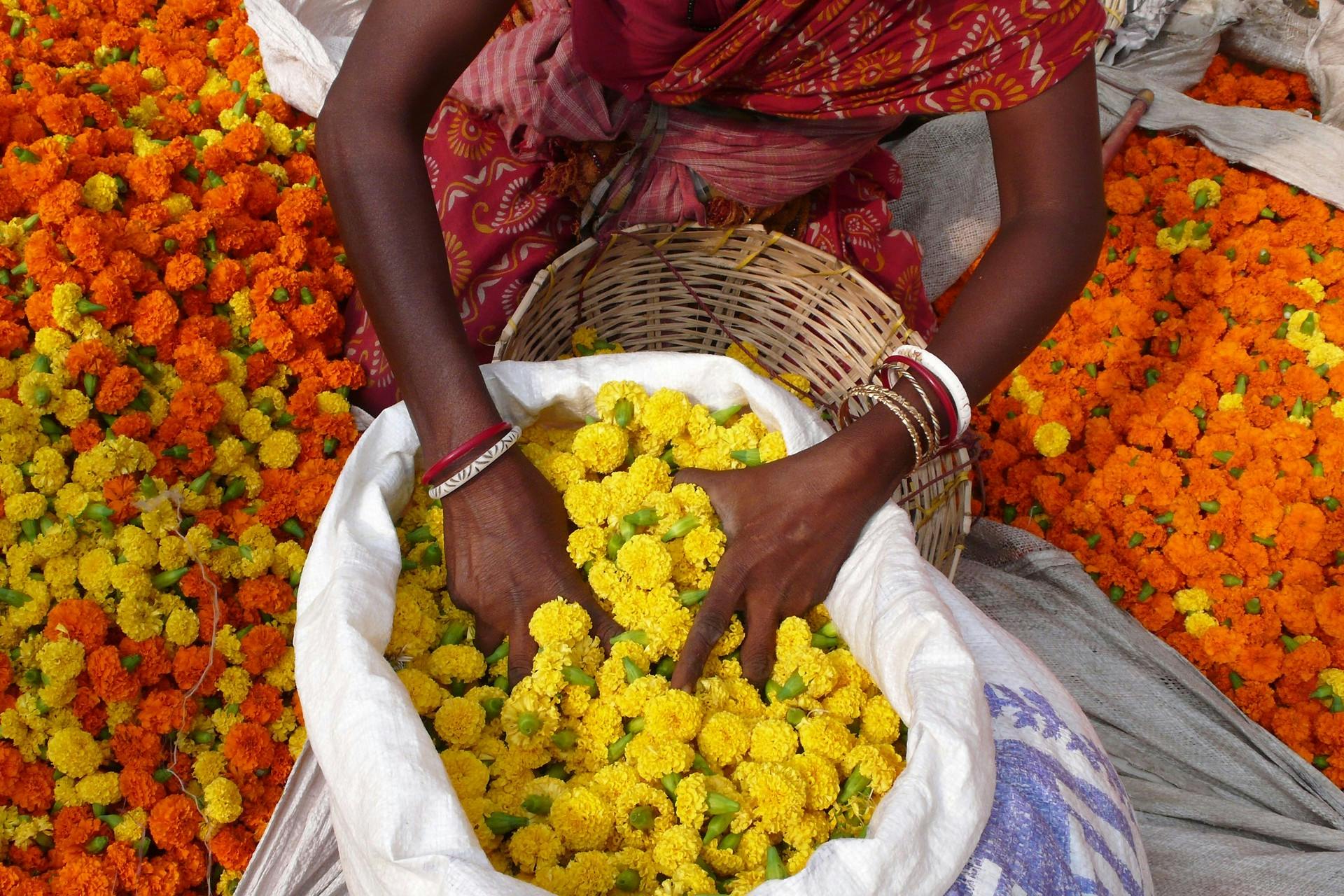 Woman selling flowers in India
