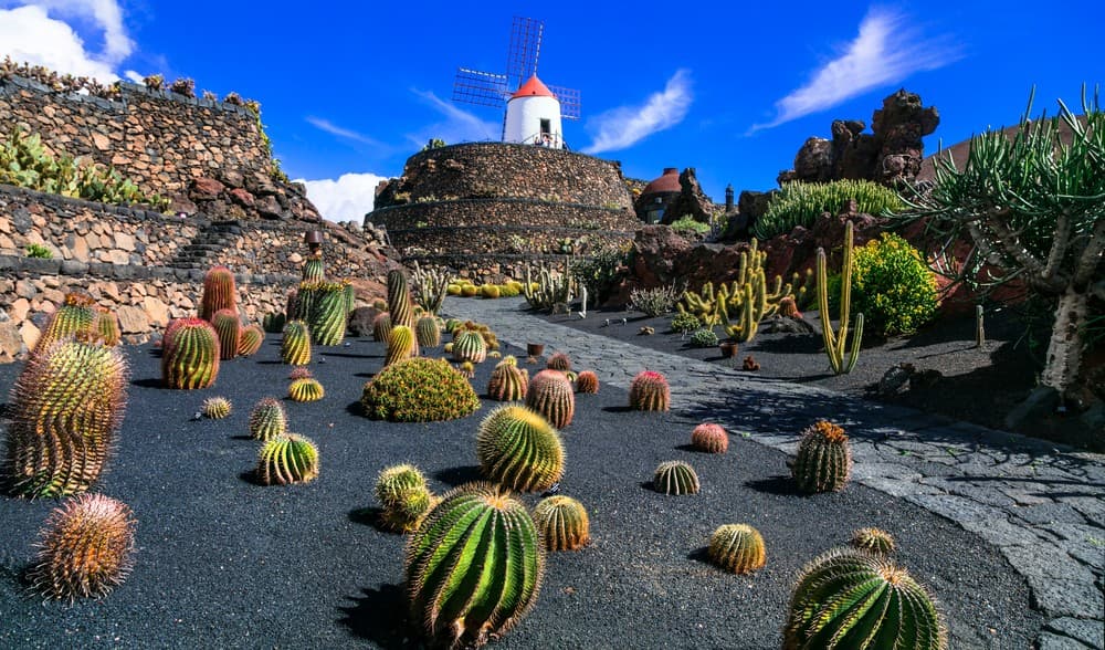 At leisure in Lanzarote