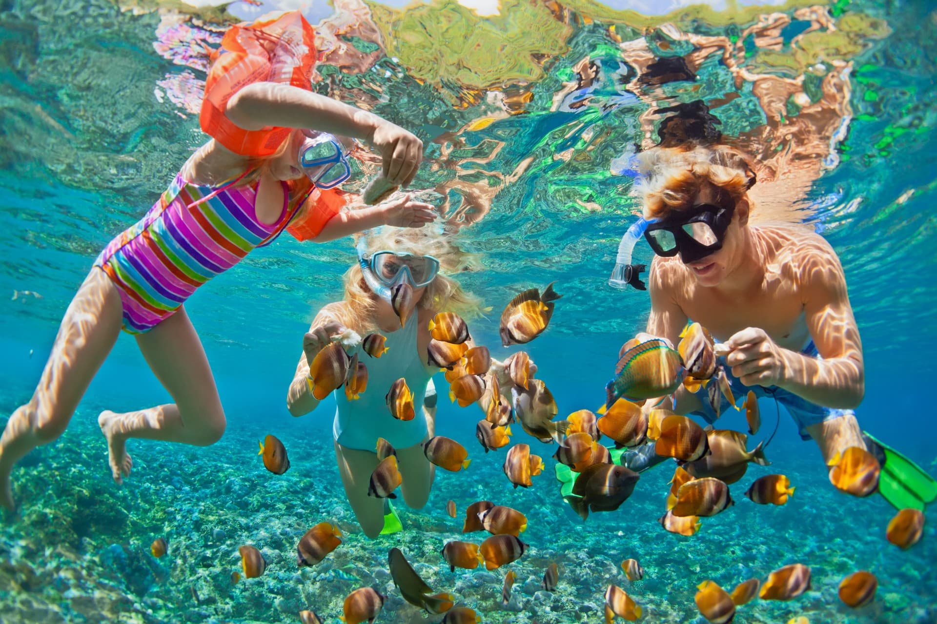 Snorkelling off the shores of Veligandu