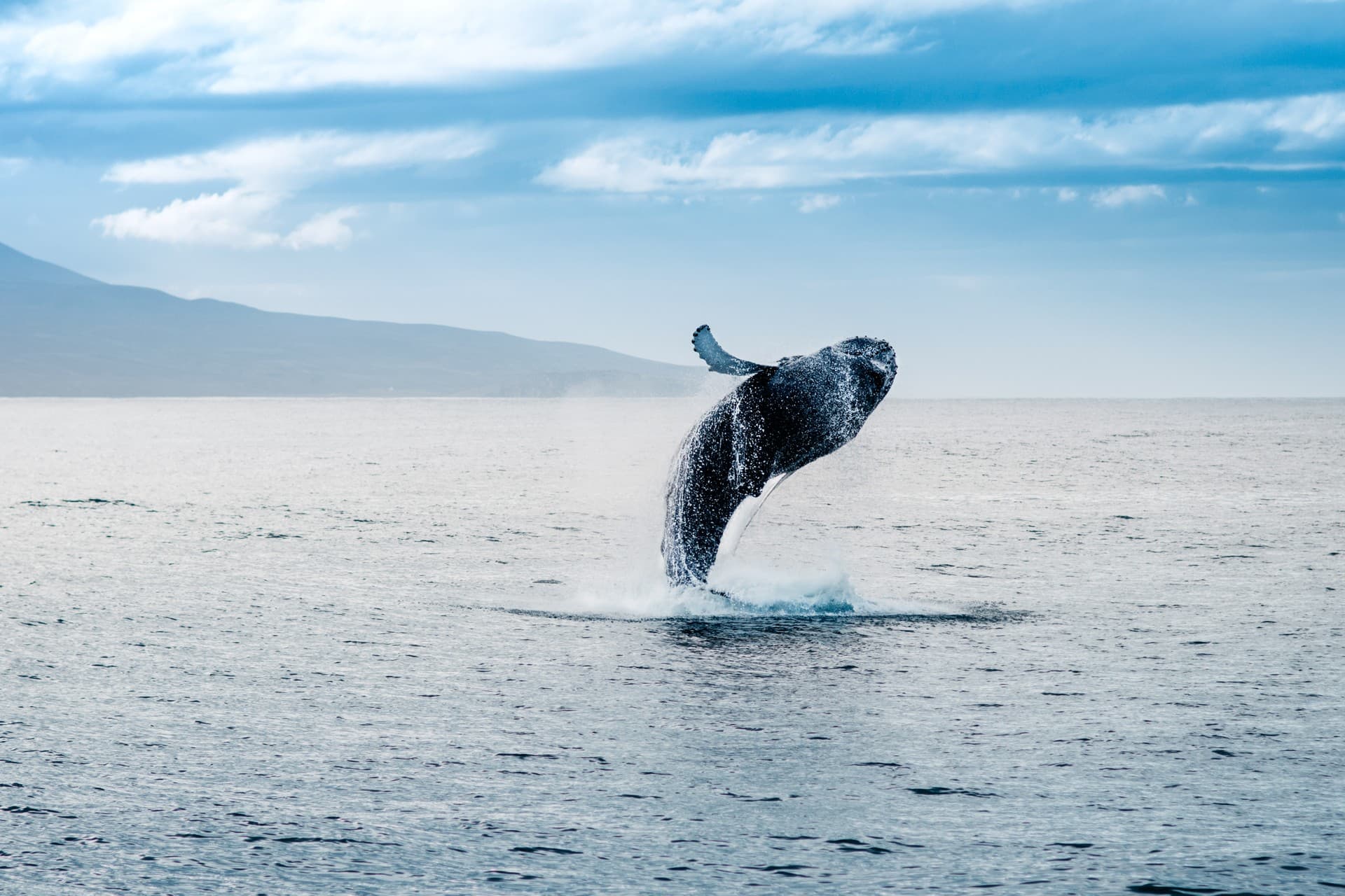 The best of southwest Iceland (self-drive)