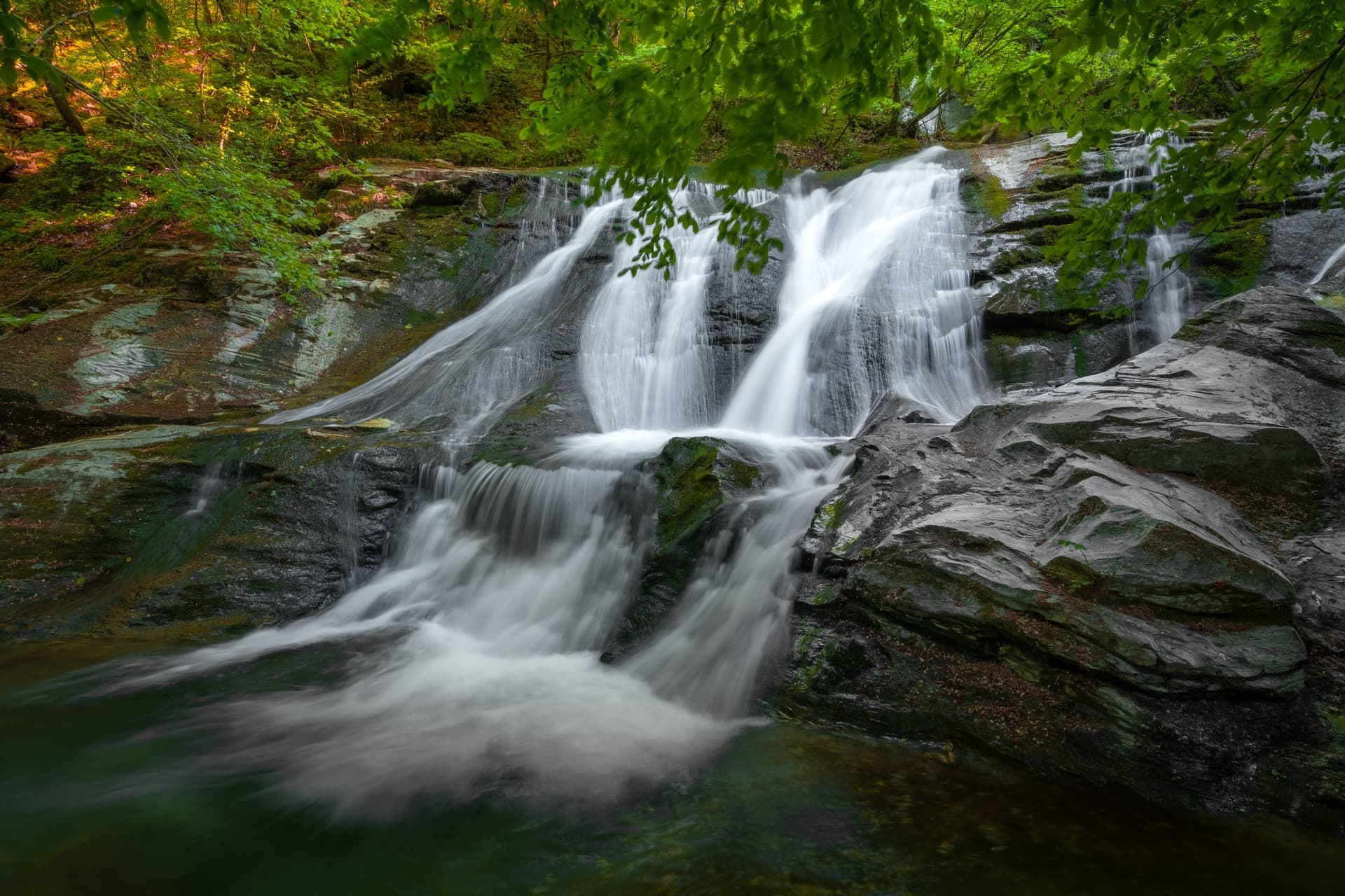 Feel at one with nature