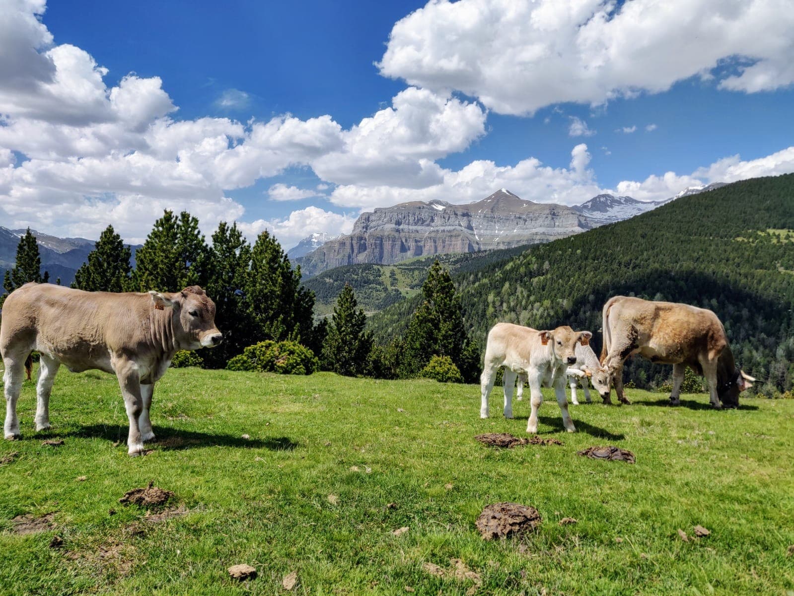 Into the heart of Ordesa National Park