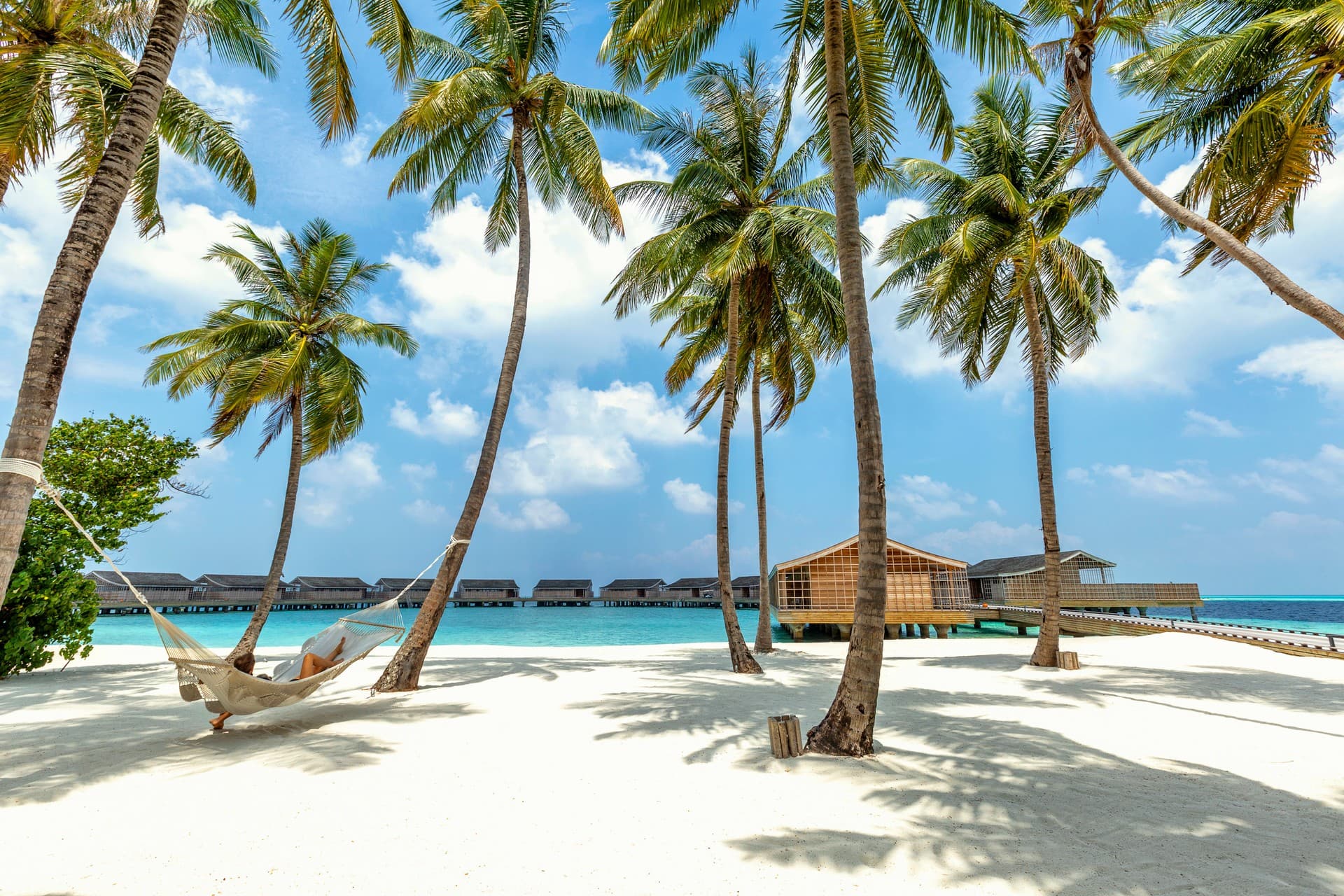 A plethora of ways to relax