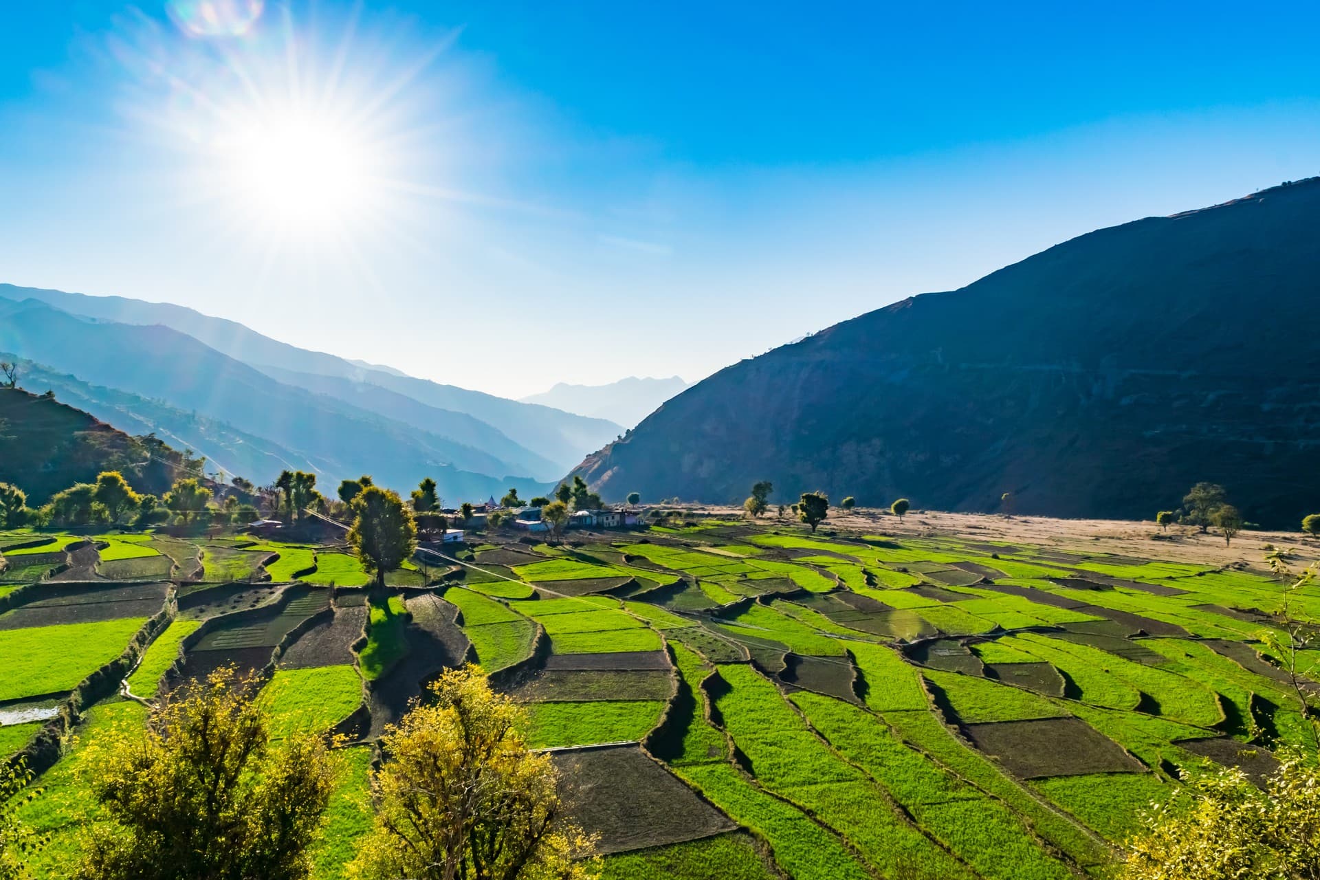 Explore traditional farming first-hand