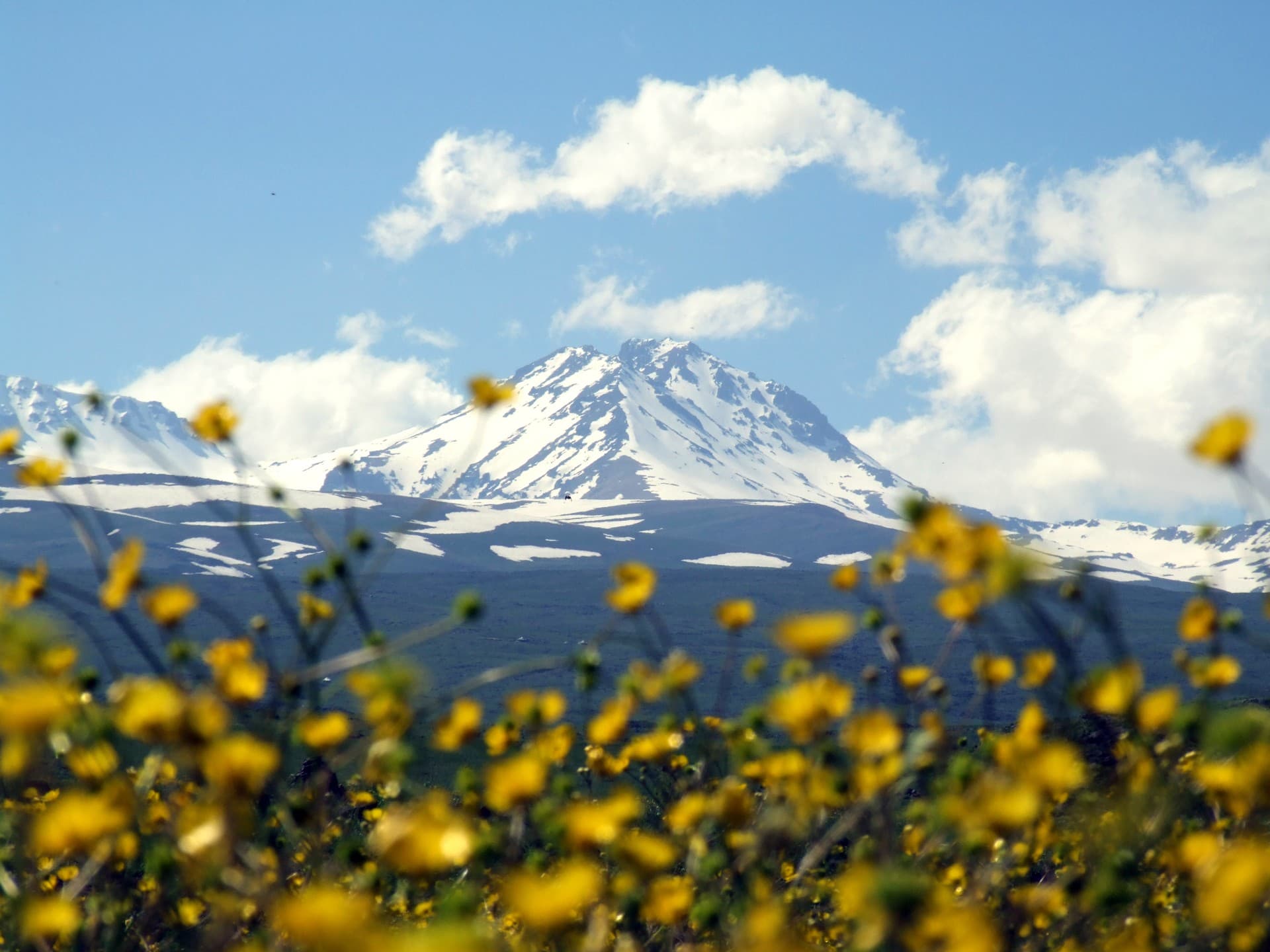Transcaucasus: Azerbaijan, Georgia & Armenia
