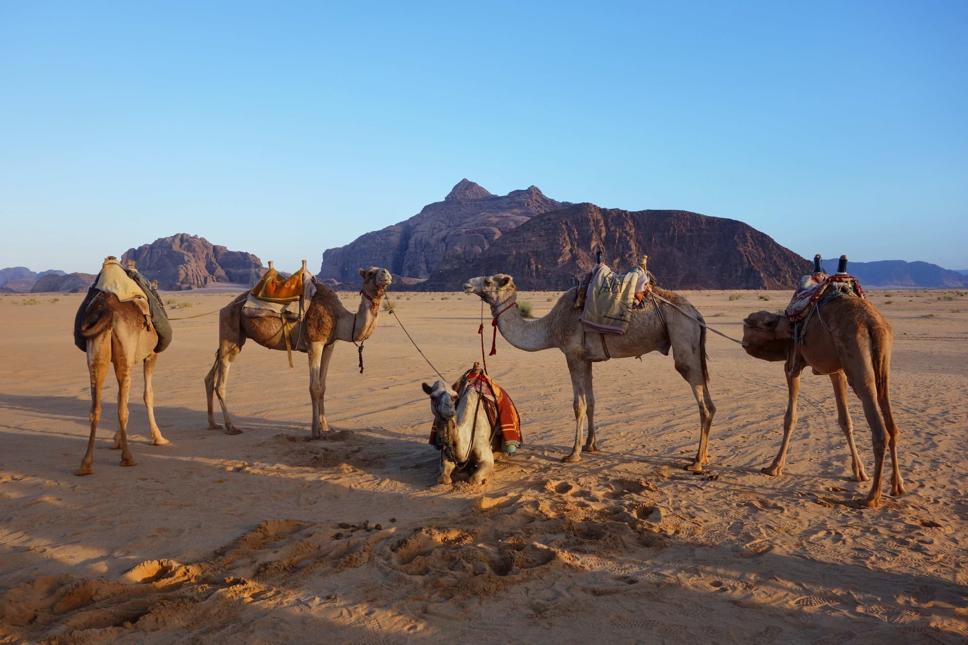 Family-friendly Jordan discovery tour