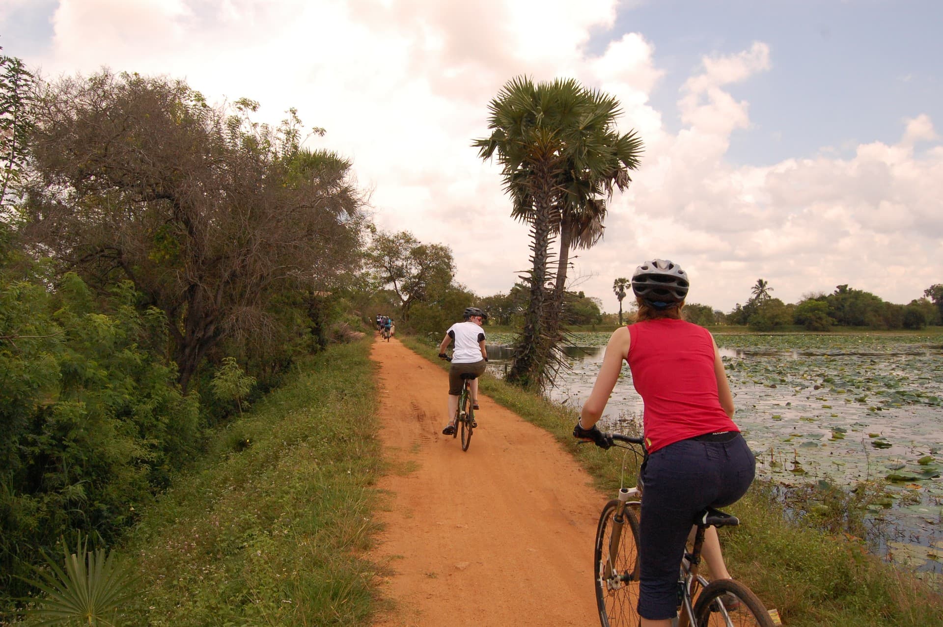 Take a cycling trip around Habarana